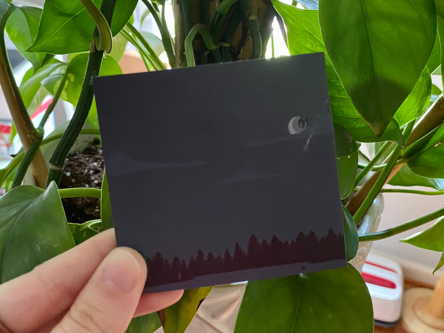Cryptids Sticky Notes