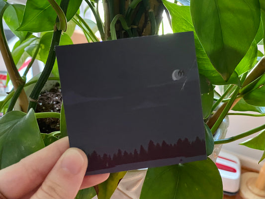 Cryptids Sticky Notes